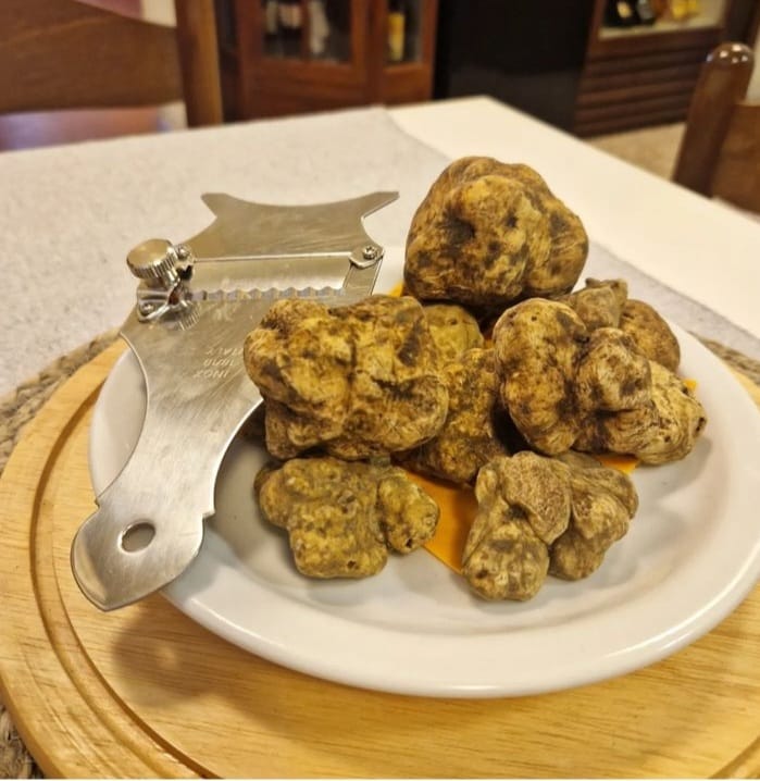 Images Trattoria Romagnola