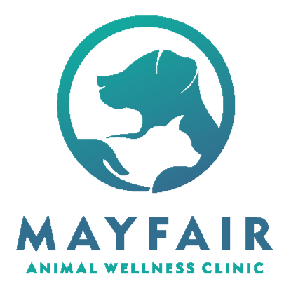 Mayfair Animal Wellness Clinic