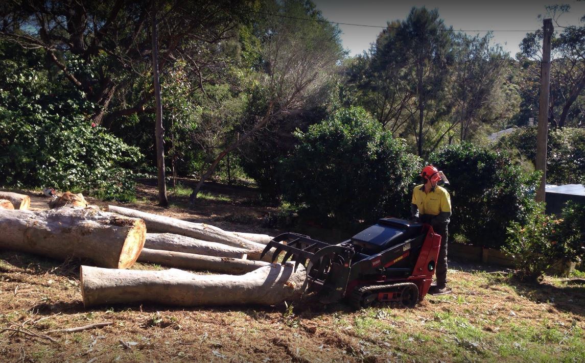 Images Horizon Total Tree Service