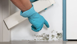 Images ProClean Air Duct & Carpet Cleaning