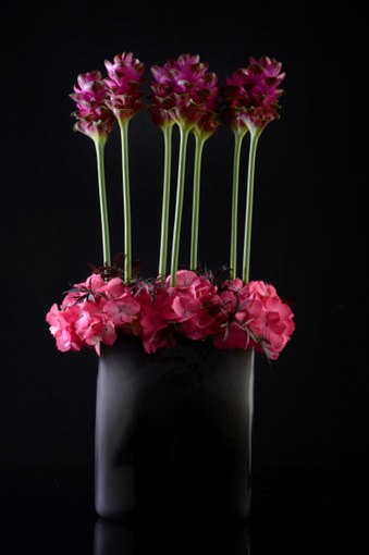 Kalis, Rue du Vieux-Collège 10 bis in Genève