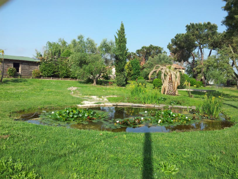 Images Branca Garden Bio Piscine