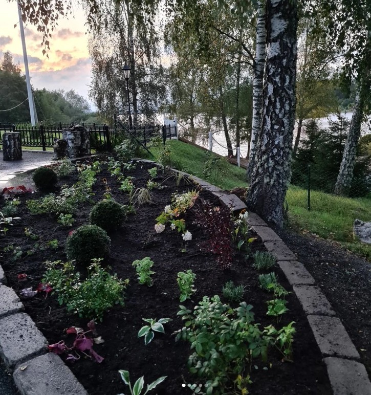 Images Lovisas trädgårdstjänst