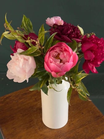Images Blooms Collective