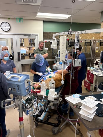 Images VCA West Los Angeles Animal Hospital