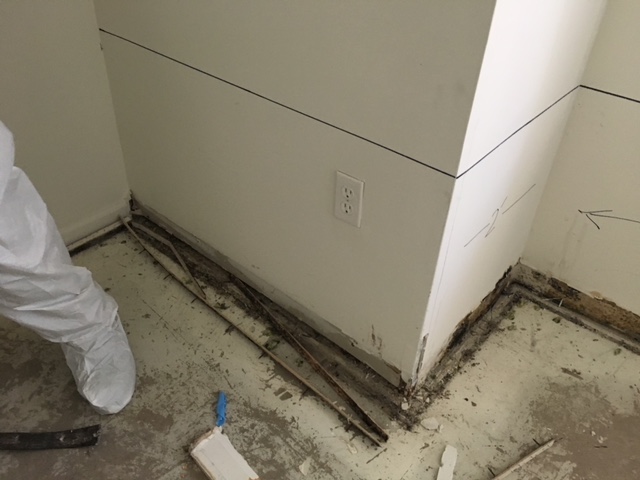 Can you spot the mold? SERVPRO of Boston Downtown / Back Bay / South Boston can and we are here to help!