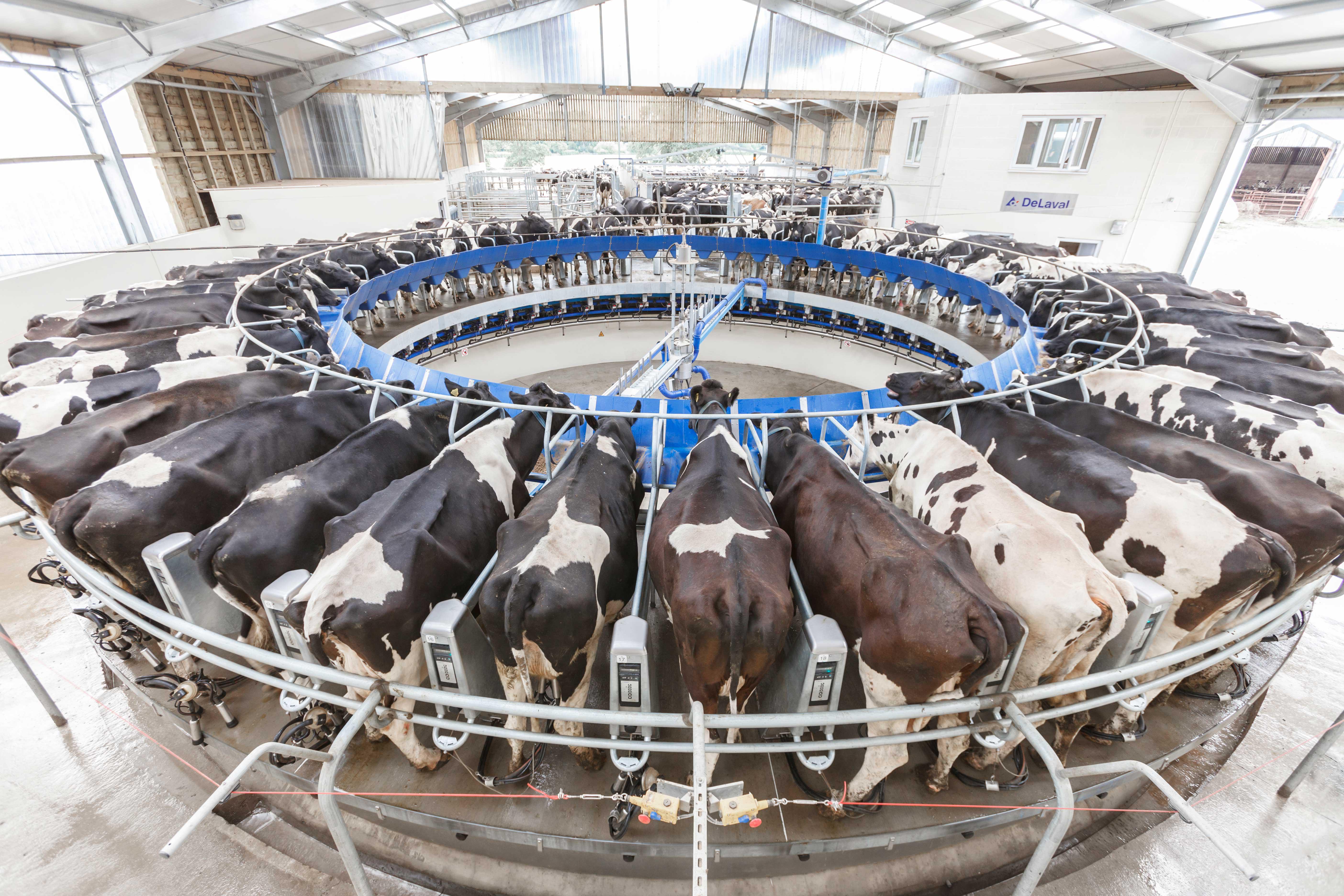 Marron Farm Services Ltd in Carrickmacross | Milking Machines ...