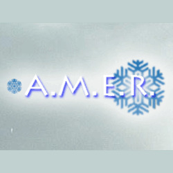 A.M.E.R. Logo