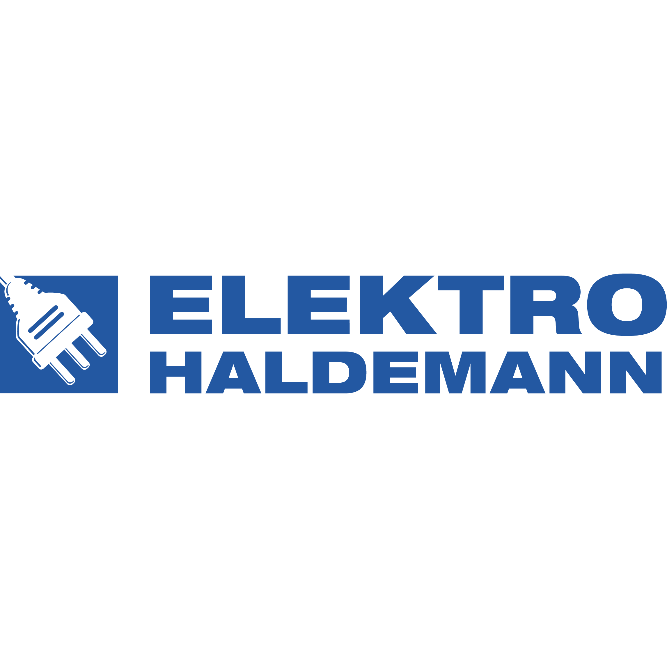 Alfred Haldemann AG Logo