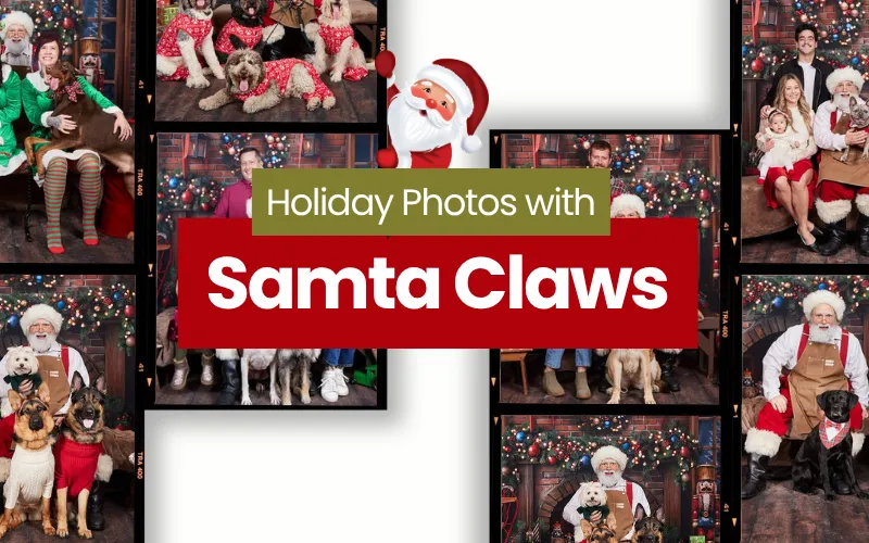 Image of Local Pet Event Holiday Photos with Samta Claws | For Pets & Their People Nearby
