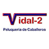 Peluquería Vidal-2 Logo