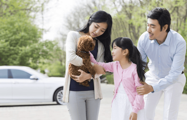 Images Yasaman Karimdelavar at Comparion Insurance Agency