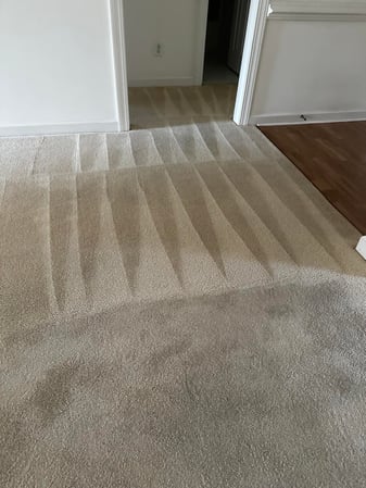 Images Van-Go Custom Carpet Cleaning