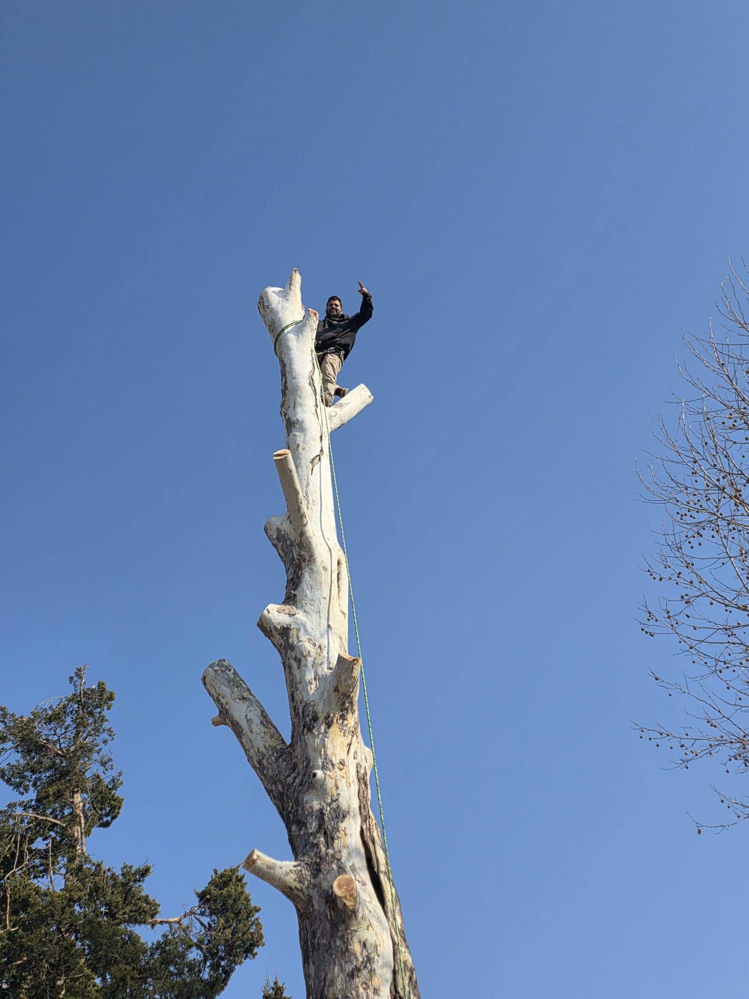 Tree Trimming-Valentine&rsquo;s Lawn Care and Landscaping Services