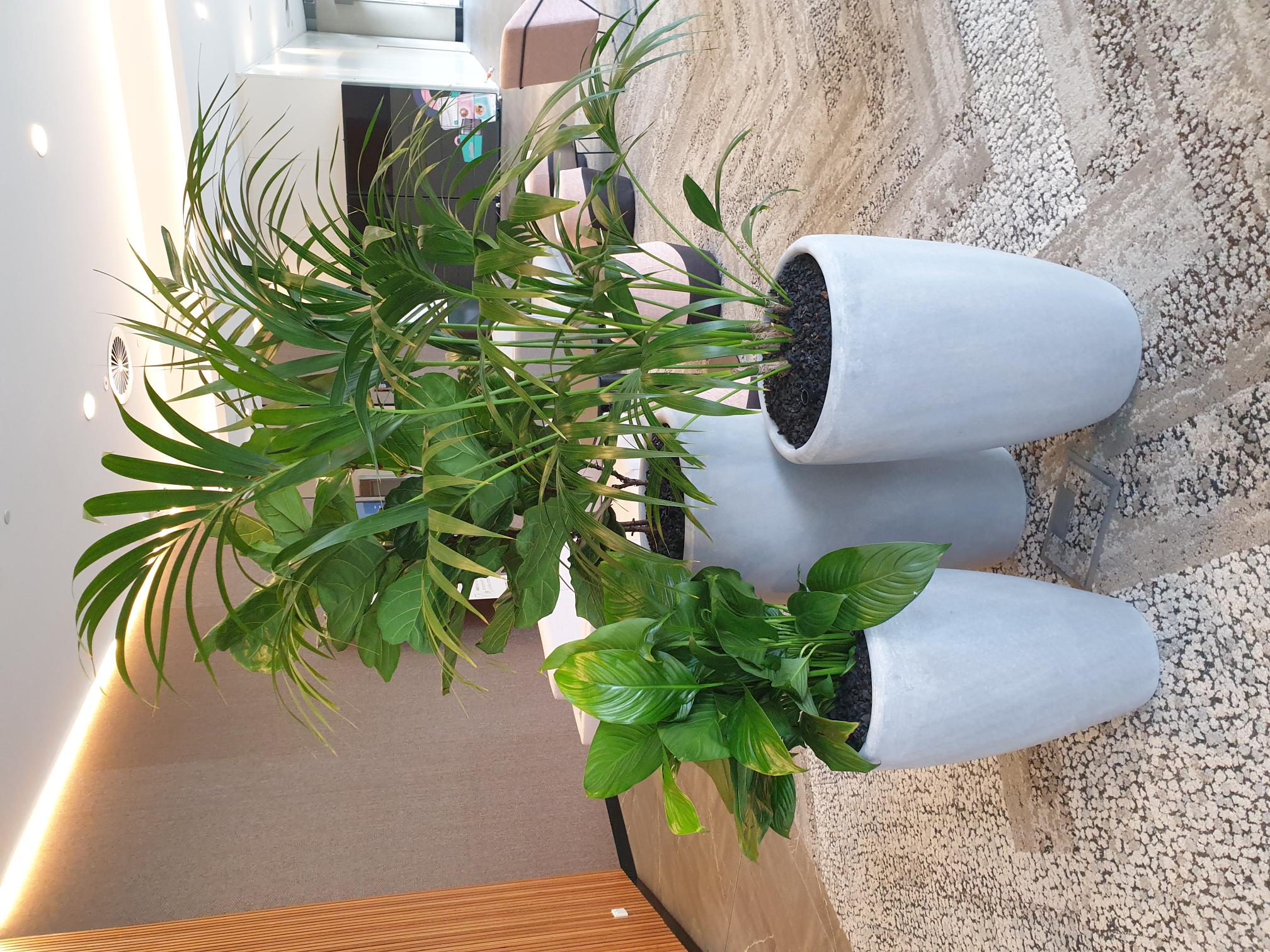 Images Plants For Hire Pty Ltd