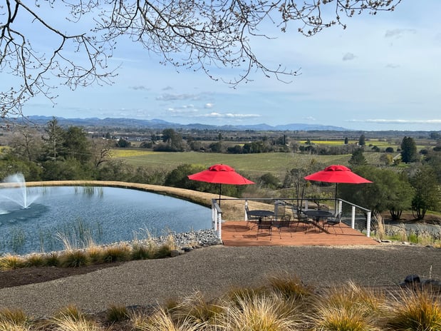 Images Sonoma Wine Rides