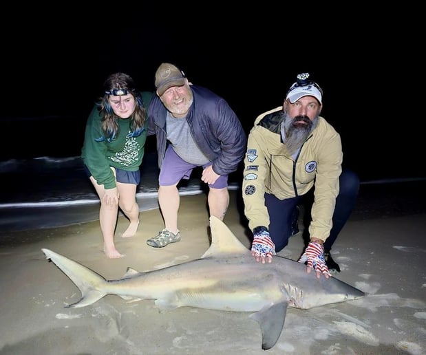 Images NSB Shark Hunters