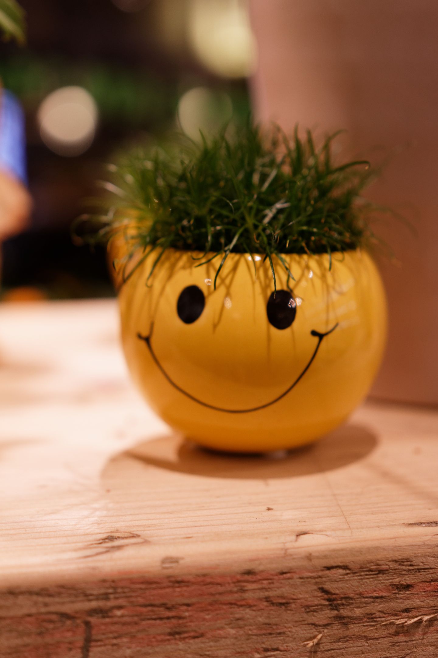 Birgits Blumenkorb, Benderstr. 28 in Düsseldorf