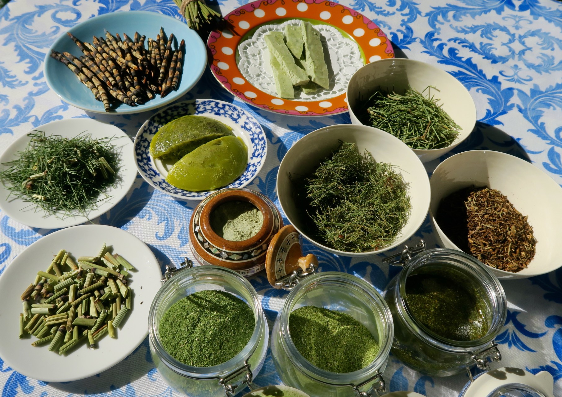 Praxis für Akupunktur, TCM, Phytotherapie, Kräutermedizin, Tibetische Medizin, Kirchenfeldstrasse 31 in Bern