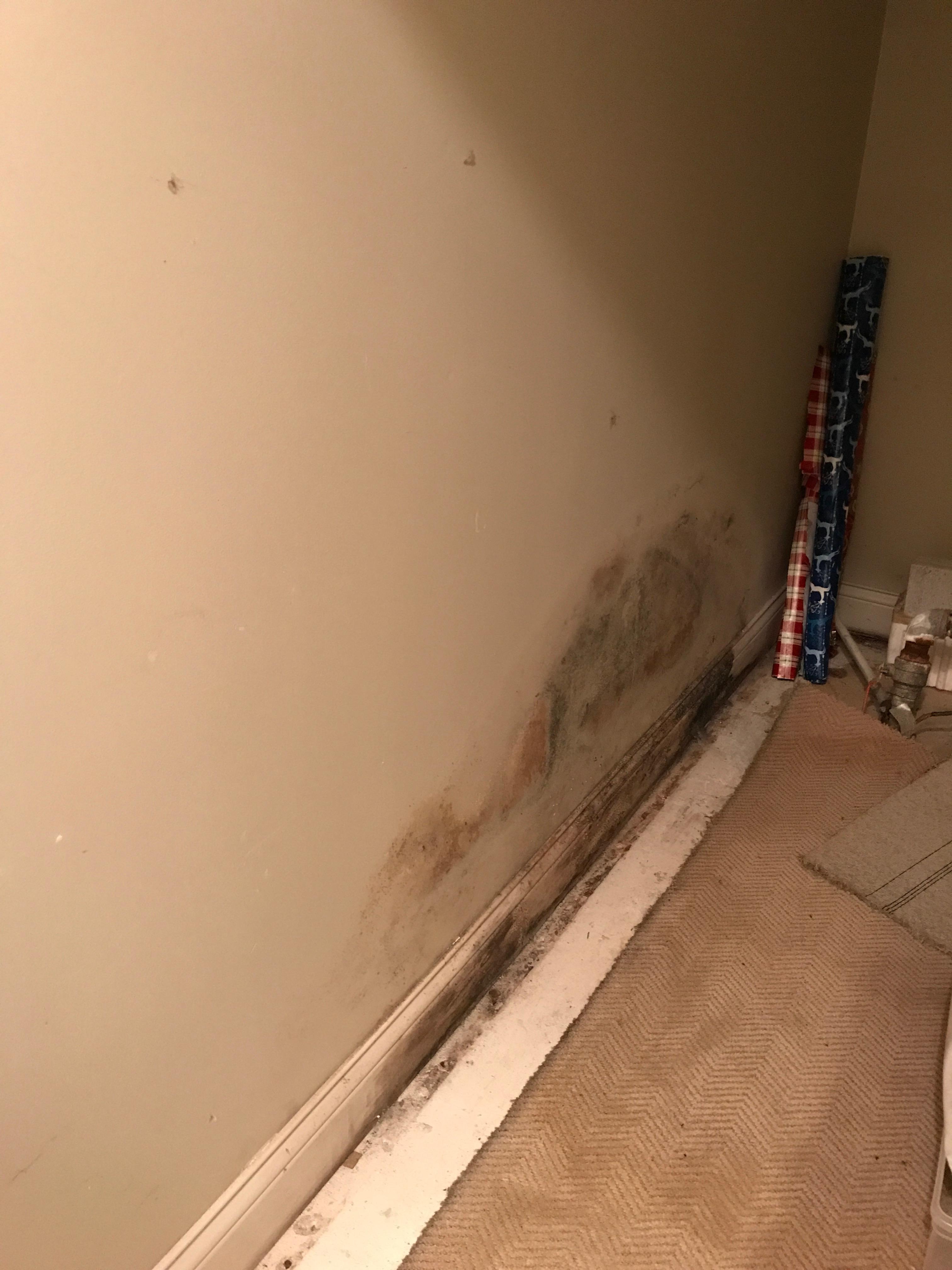 Can you spot the mold? SERVPRO can and we are happy to help!