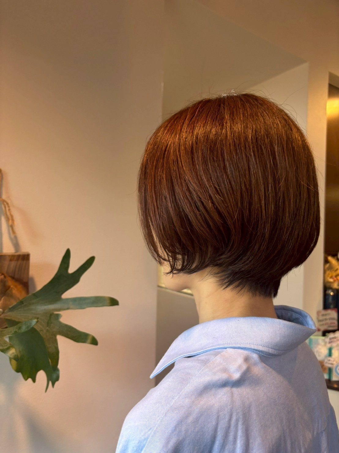 Images PLUS 【プルス】墨染店