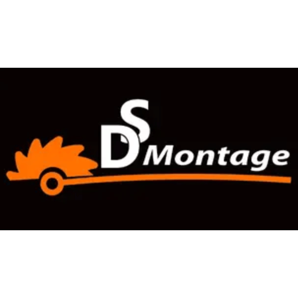 DSMontage Logo