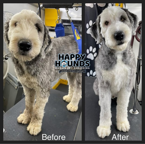 Images Happy Hounds Mobile Pet Grooming