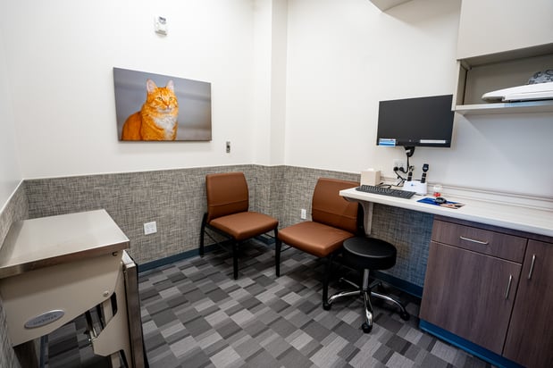 Images VCA Knapp's Corner Animal Hospital
