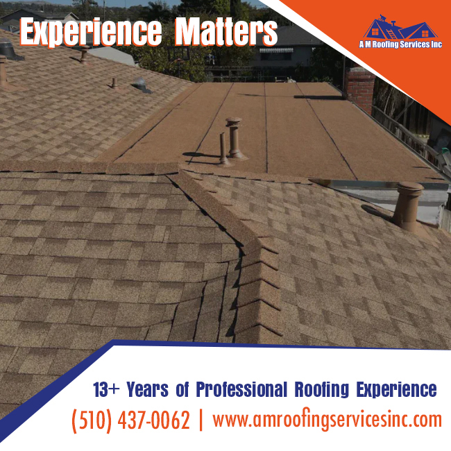 AM Roofing Services Inc Image