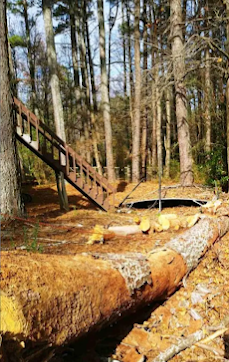 JT&apos;S Tree Service Logo