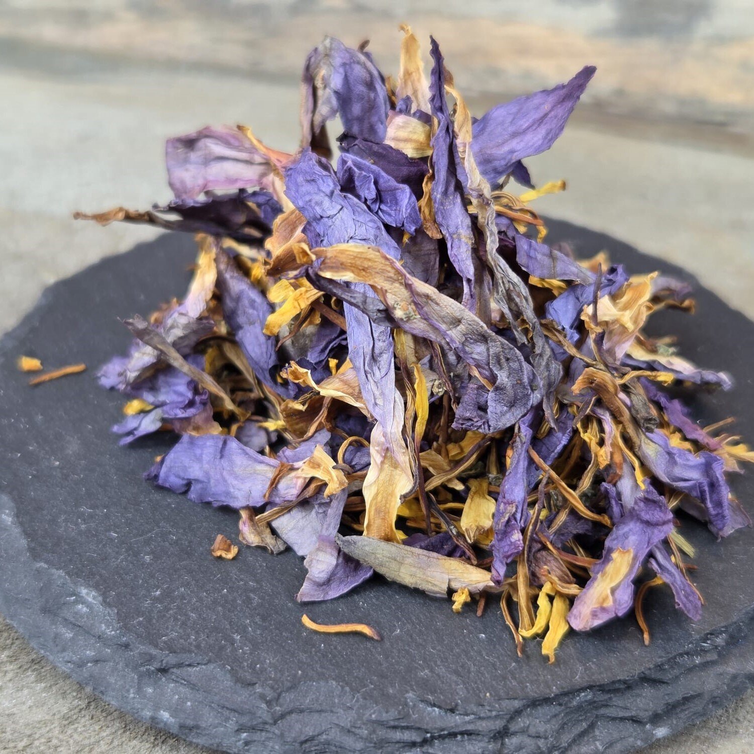 PURPLE GROWS Cannabis, CBD und THC-Seeds in Delbrück