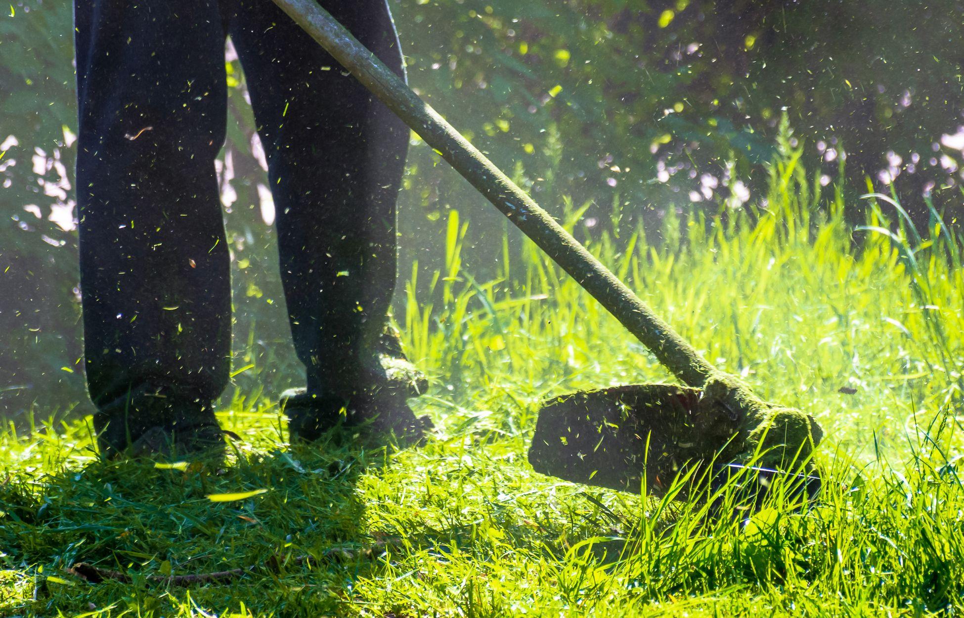 Bilder Helping Green - Gartenpflege & Landschaftsbau