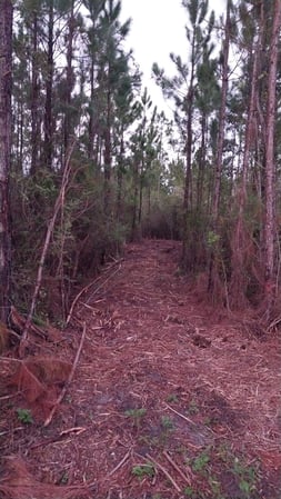 Images Clearview Forestry Mulching