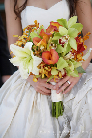 Images Rocky Mountain Wildflowers