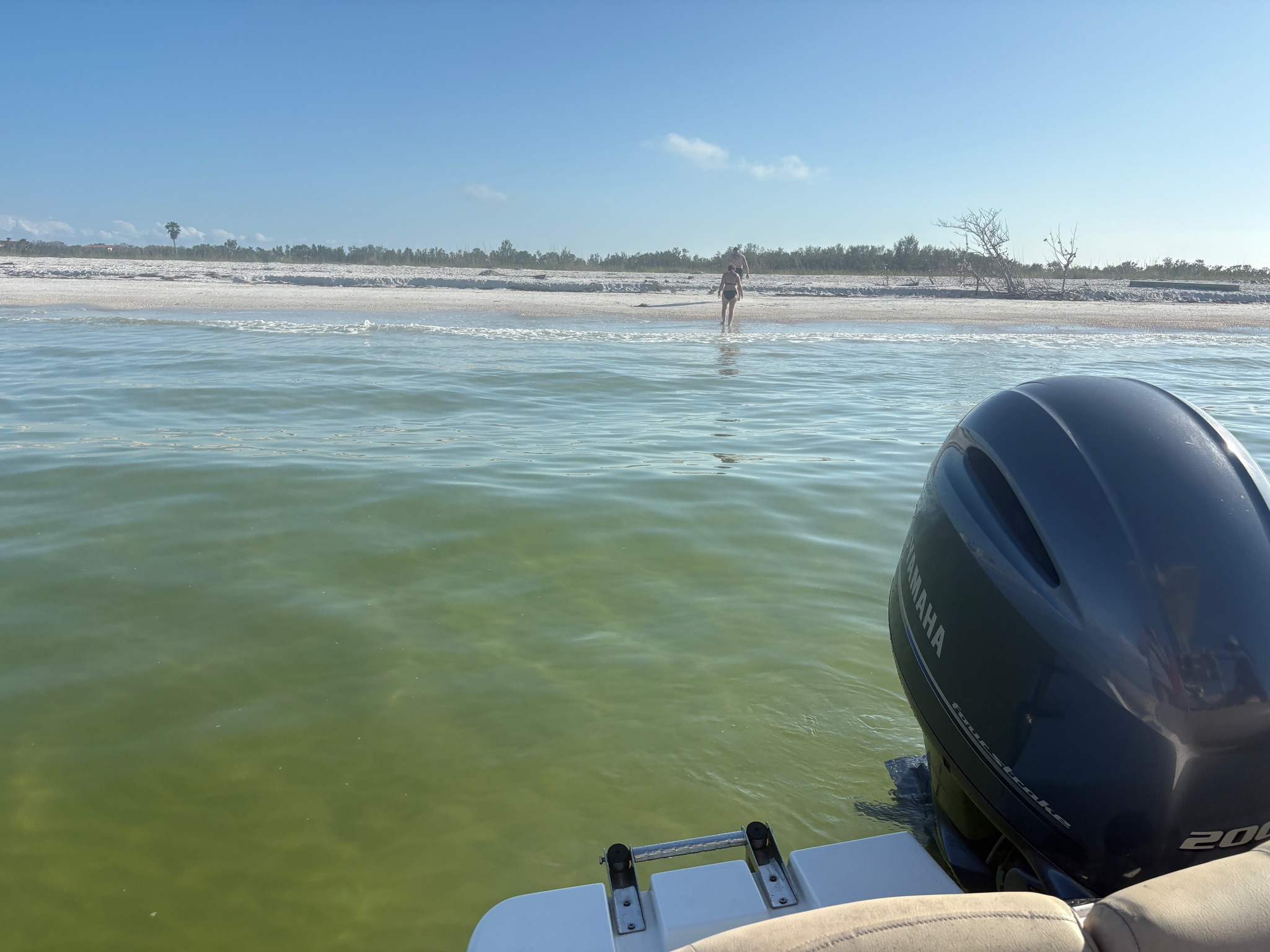 Sportsman Charters offers sandbar charters, providing a fun and relaxing experience where you can anchor, unwind, and enjoy the scenic beauty of the water. Perfect for socializing or simply soaking up the sun, our sandbar charters create a memorable day on the water.