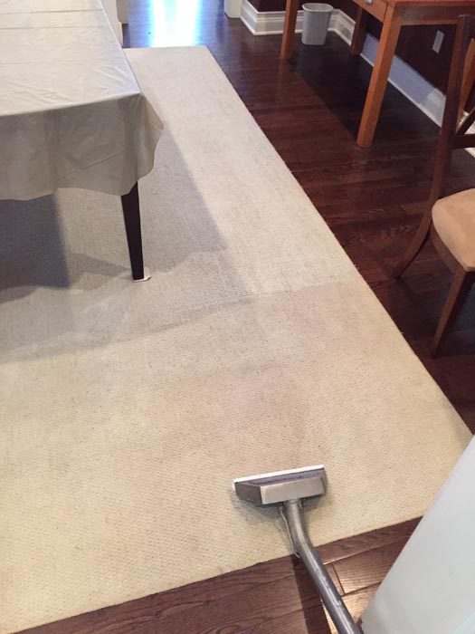 Images Carpet Luster