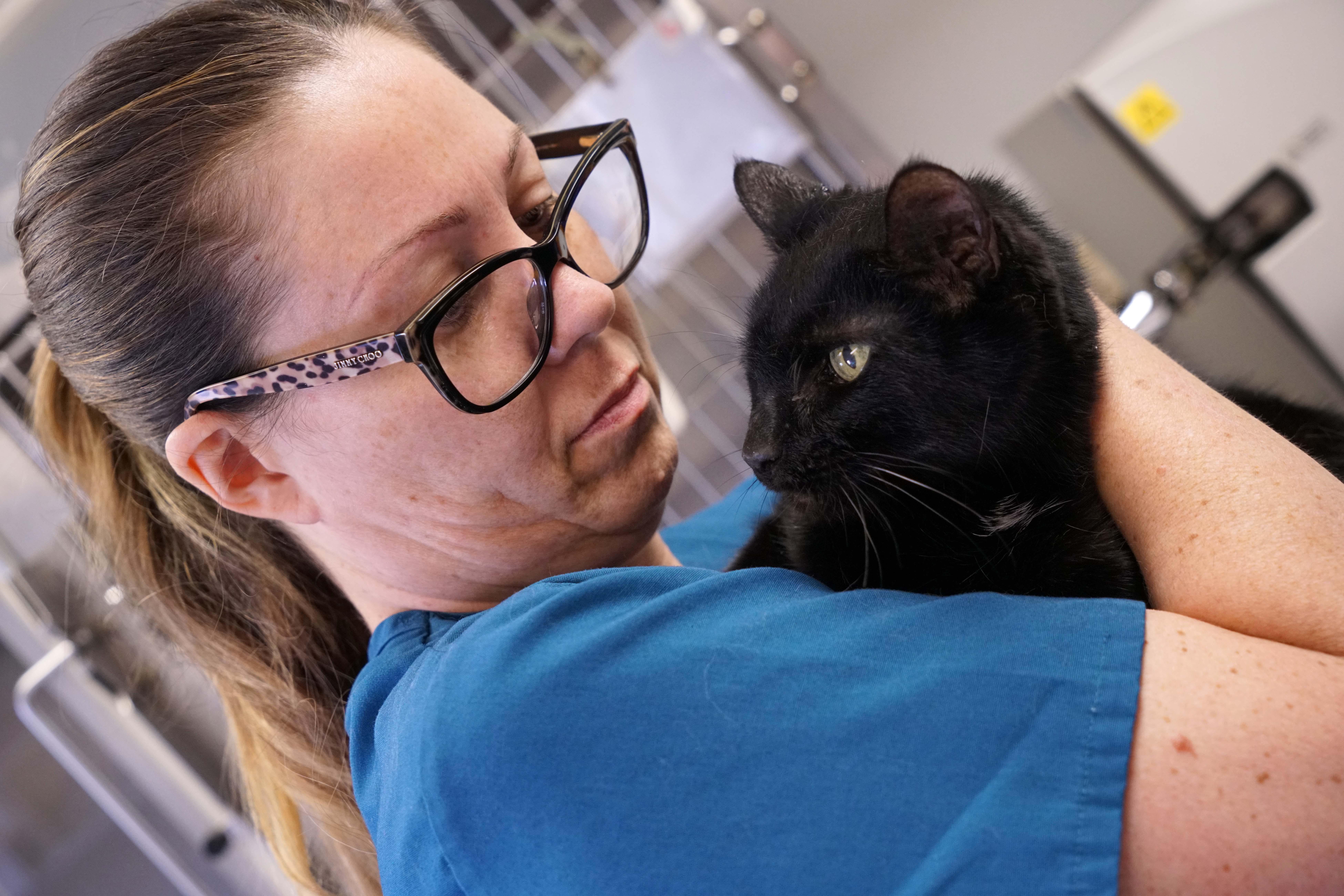 One of our veterinary technicians cuddles one of our sweet patients. At Family Pet Clinic we do everything we can to make sure your sweet pets are happy and comfortable when they visit.