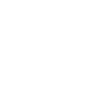 Shining star icon.
