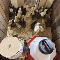 Images Harrison Farm and Feed