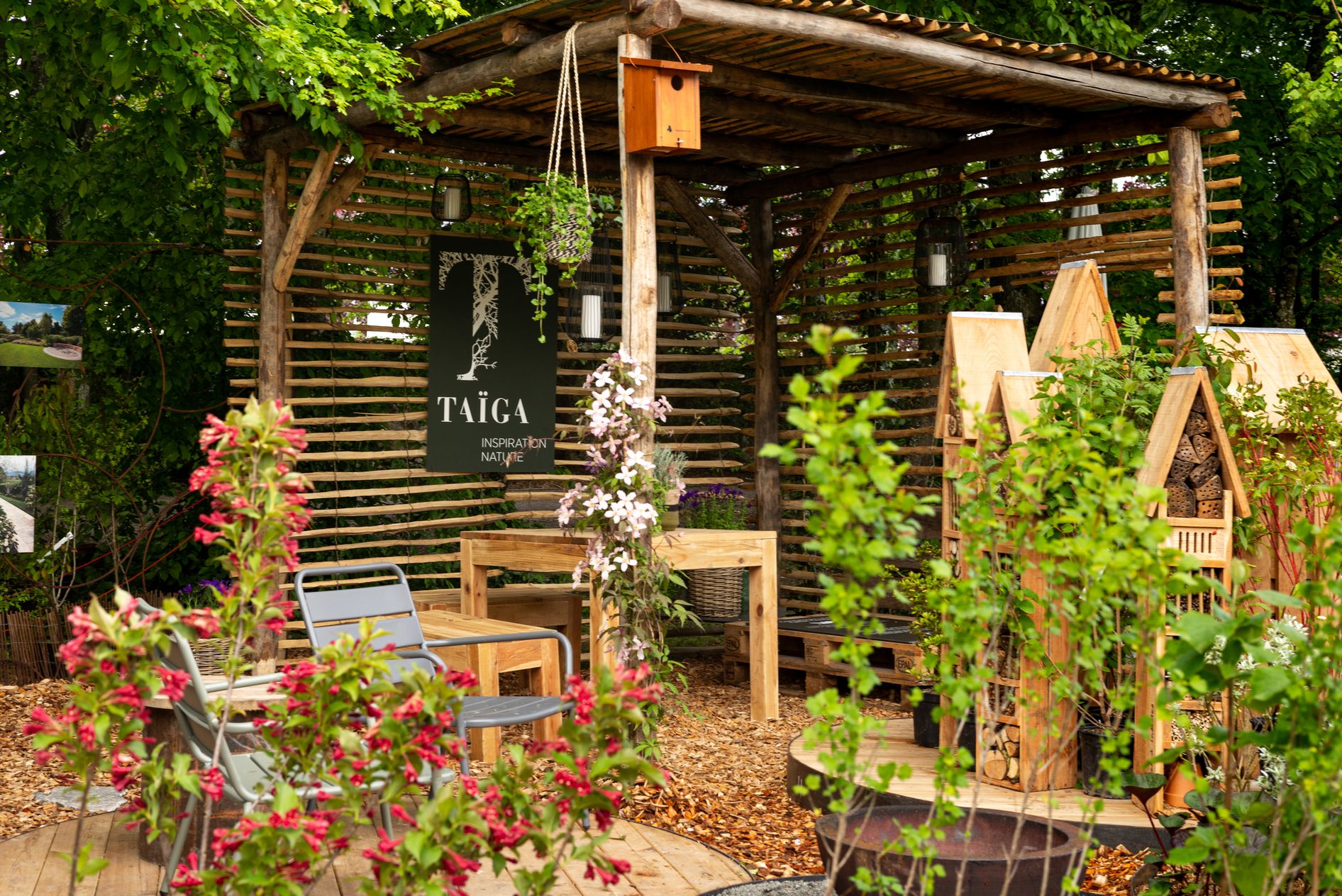 Bilder Taïga, Inspiration Nature SA