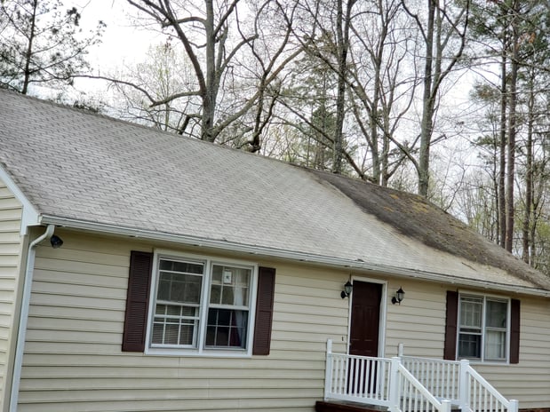 Images E & E Property Services