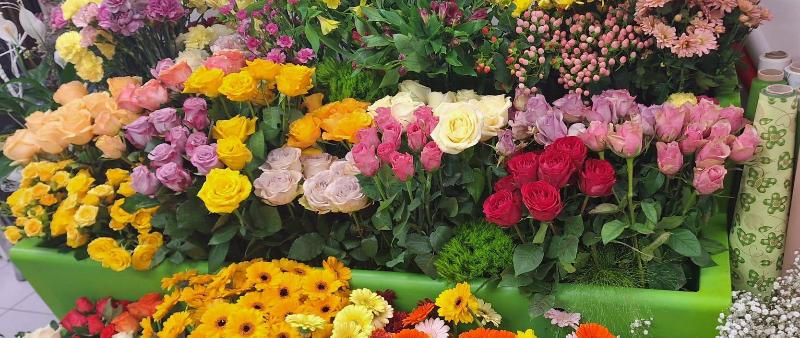 Images Fioreria Tessadri