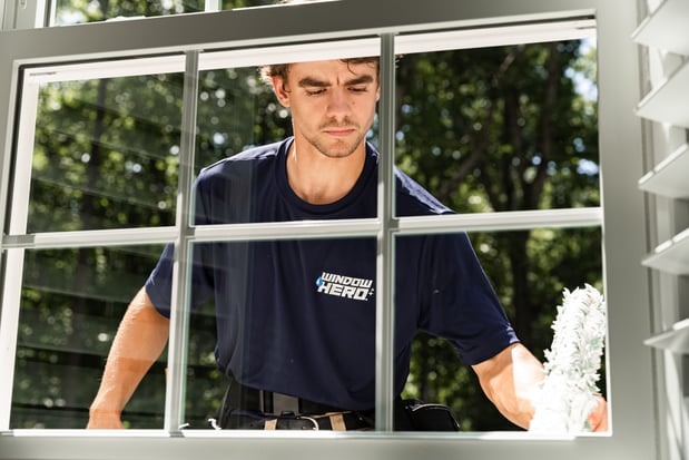 Images Window Hero The Woodlands
