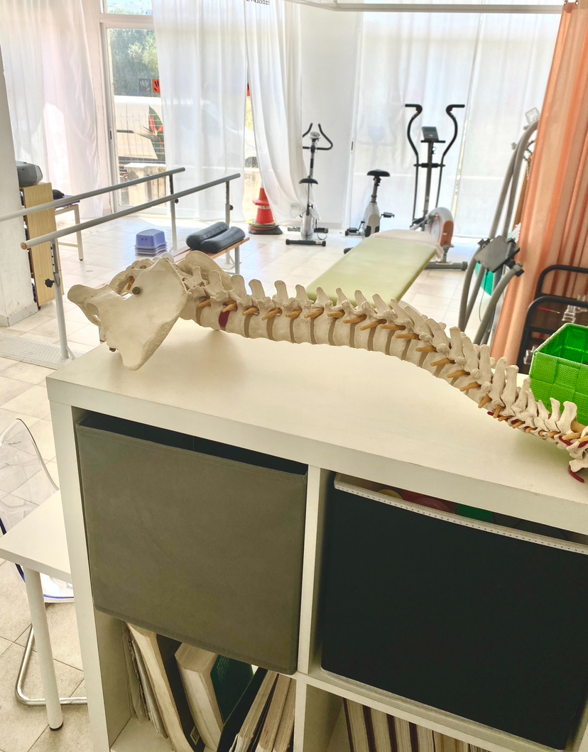 Images ARTRO-MOVIMENT FiSIOTERÀPIA