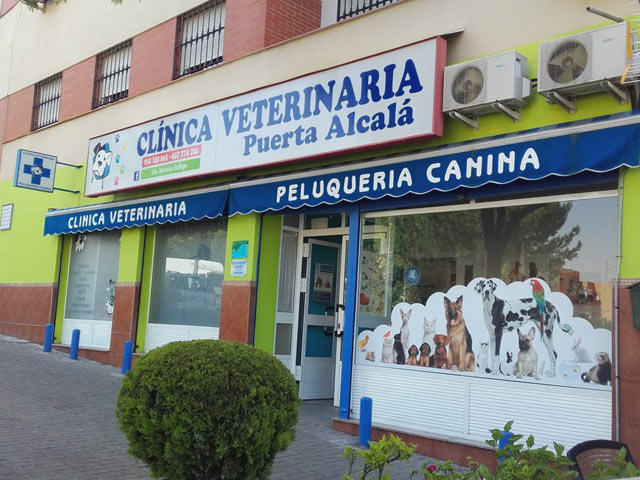 Images Clínica Veterinaria Puerta Alcalá