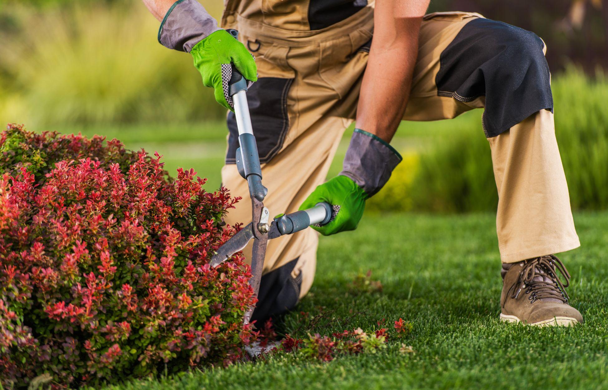 Bilder Helping Green - Gartenpflege & Landschaftsbau