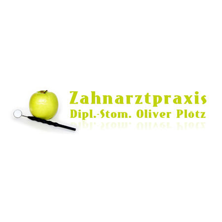 Zahnarztpraxis Dipl.-Stom. Oliver Plötz in Großschirma - Logo