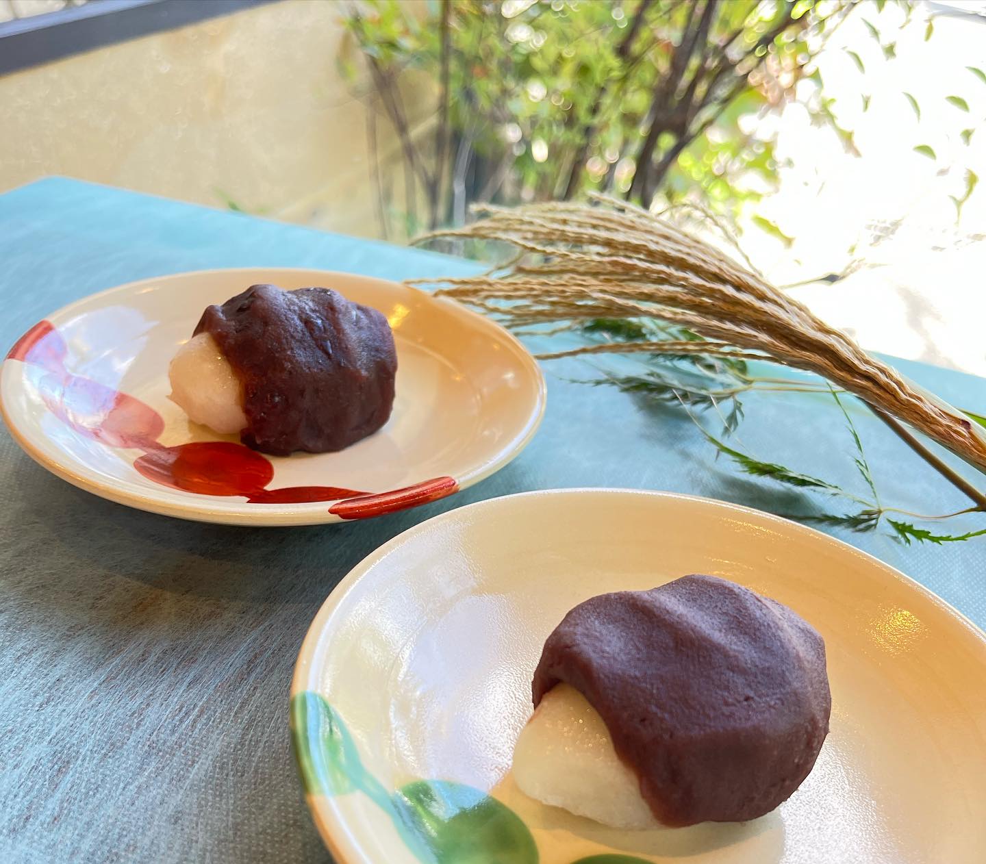 Images 一乗寺中谷