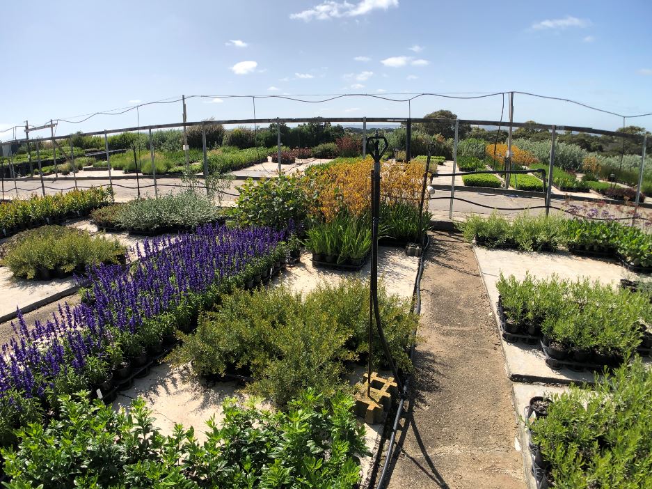Images Glenvue Nursery