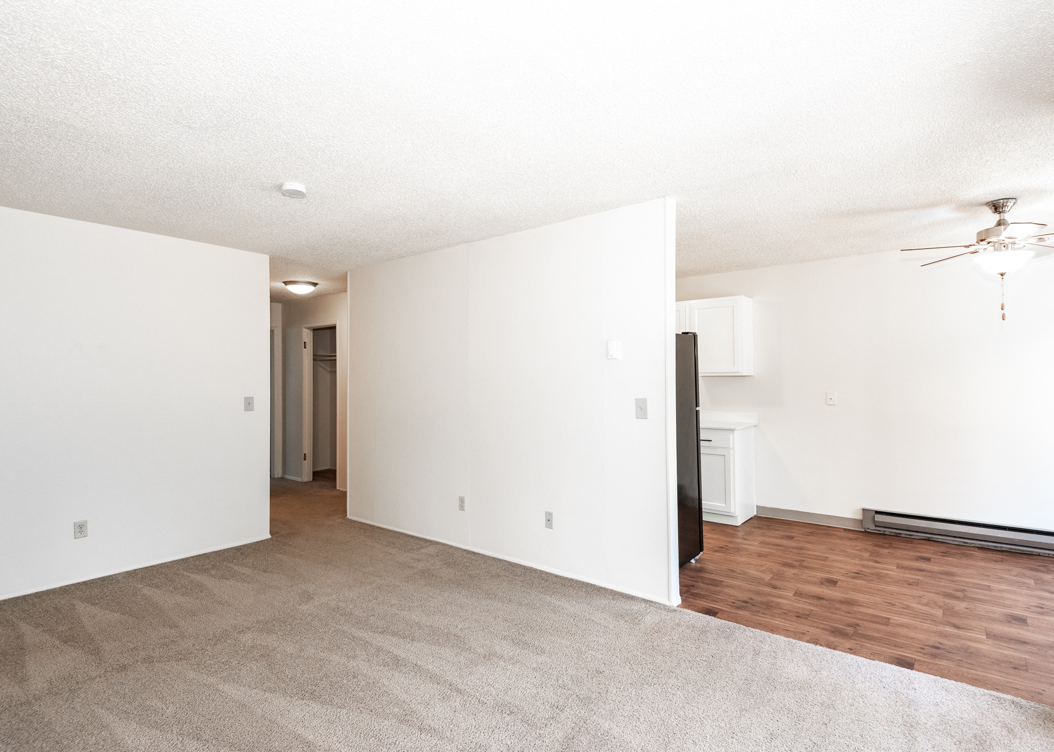 Carpeted Living Area 
